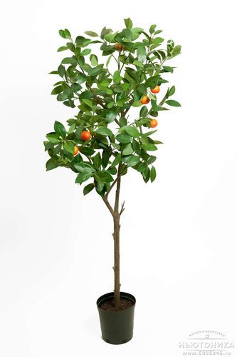 Искусственное "Апельсиновое дерево", 150 см