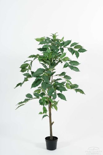 Искусственное "Кофейное дерево", 135 см
