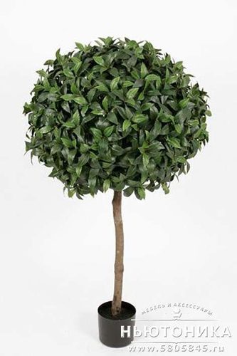 Искусственное "Лавровое дерево", 135 см
