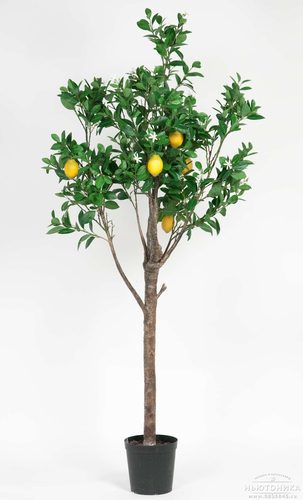 Искусственное "Лимонное дерево", 210 см