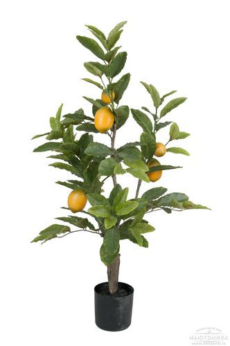 Искусственное "Лимонное дерево", 90 см