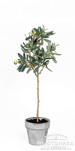Искусственное "Оливковое дерево", 55 см