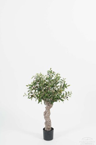 Искусственное "Оливковое дерево", 80 см