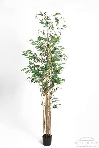 Искусственное дерево "Бамбук", 190 см