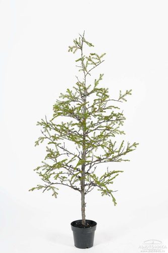 Искусственное дерево "Ель", 140 см