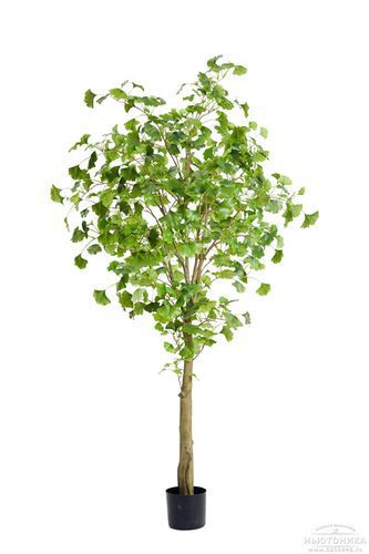 Искусственное дерево "Гинкго", 180 см