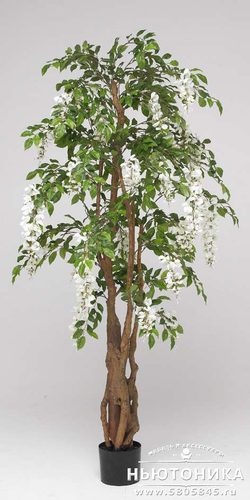 Искусственное дерево "Глициния", 170 см