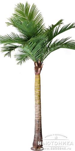 Искусственное дерево "Пальма", 370 см