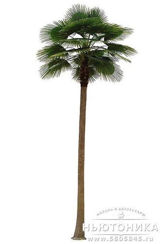 Искусственное дерево "Пальма", 600 см