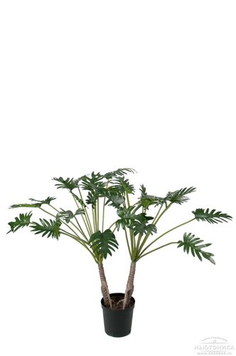 Искусственное растение "Филодендрон"