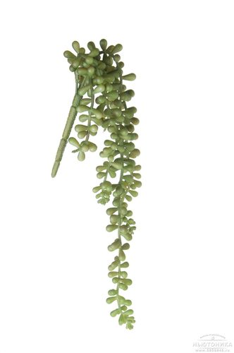 Искусственное растение "Крестовник", 40 см