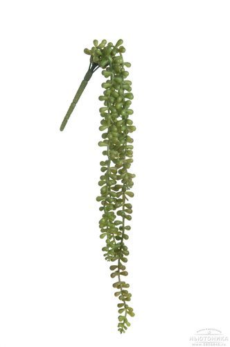 Искусственное растение "Крестовник", 50 см