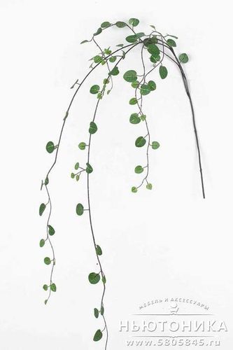 Искусственное растение "Мюленбекия", 85 см