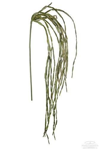 Искусственное растение "Рипсалис"