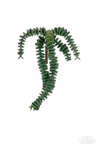 Искусственное растение "Суккулент", 20 см