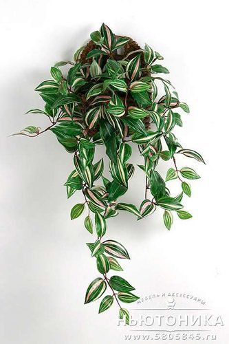 Искусственное растение "Традесканция", 60 см