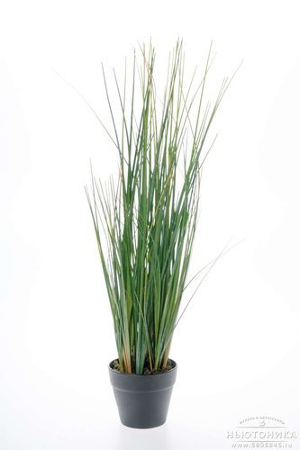 Искусственное растение "Трава", H=50 см