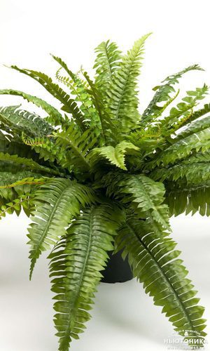 Искусственные папоротниковидные растения, 40 см
