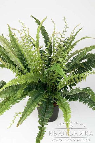 Искусственные папоротниковидные растения, 41 см