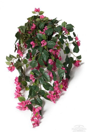 Искусственные цветы "Бугенвиллея", 80 см