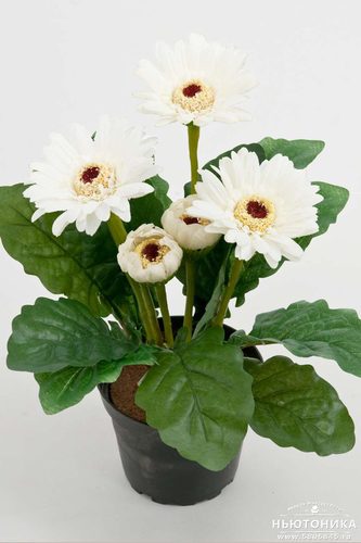 Искусственные цветы "Герберы", 25 см