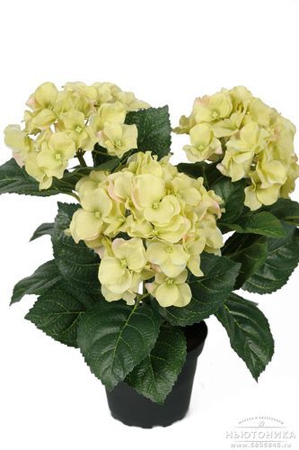 Искусственные цветы "Гортензия", H=30 см