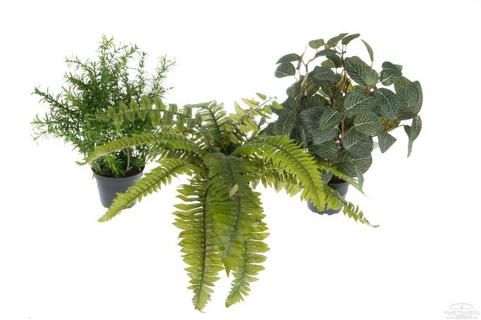 Искусственные зеленые растения, набор, 28-35 см