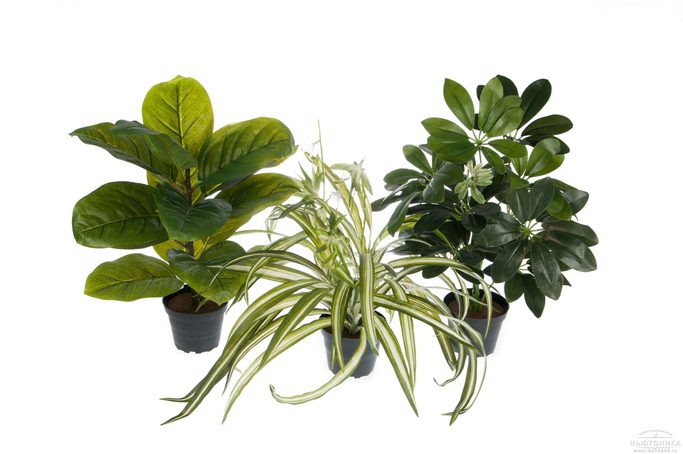 Искусственные зеленые растения, набор, 35-40 см