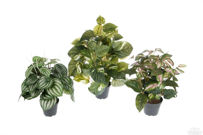 Искусственные зеленые растения, набор, 35-40 см