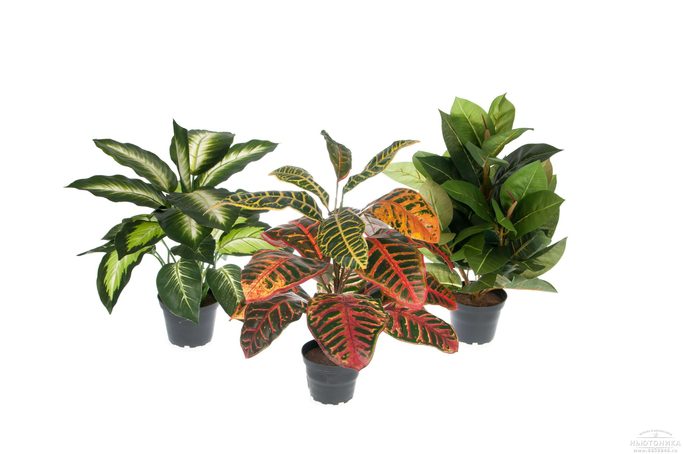 Искусственные зеленые растения, набор, 40-48 см