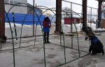 Теплица КрафтМет Муравей 4х2х1.7 м, поликарбонат 4мм